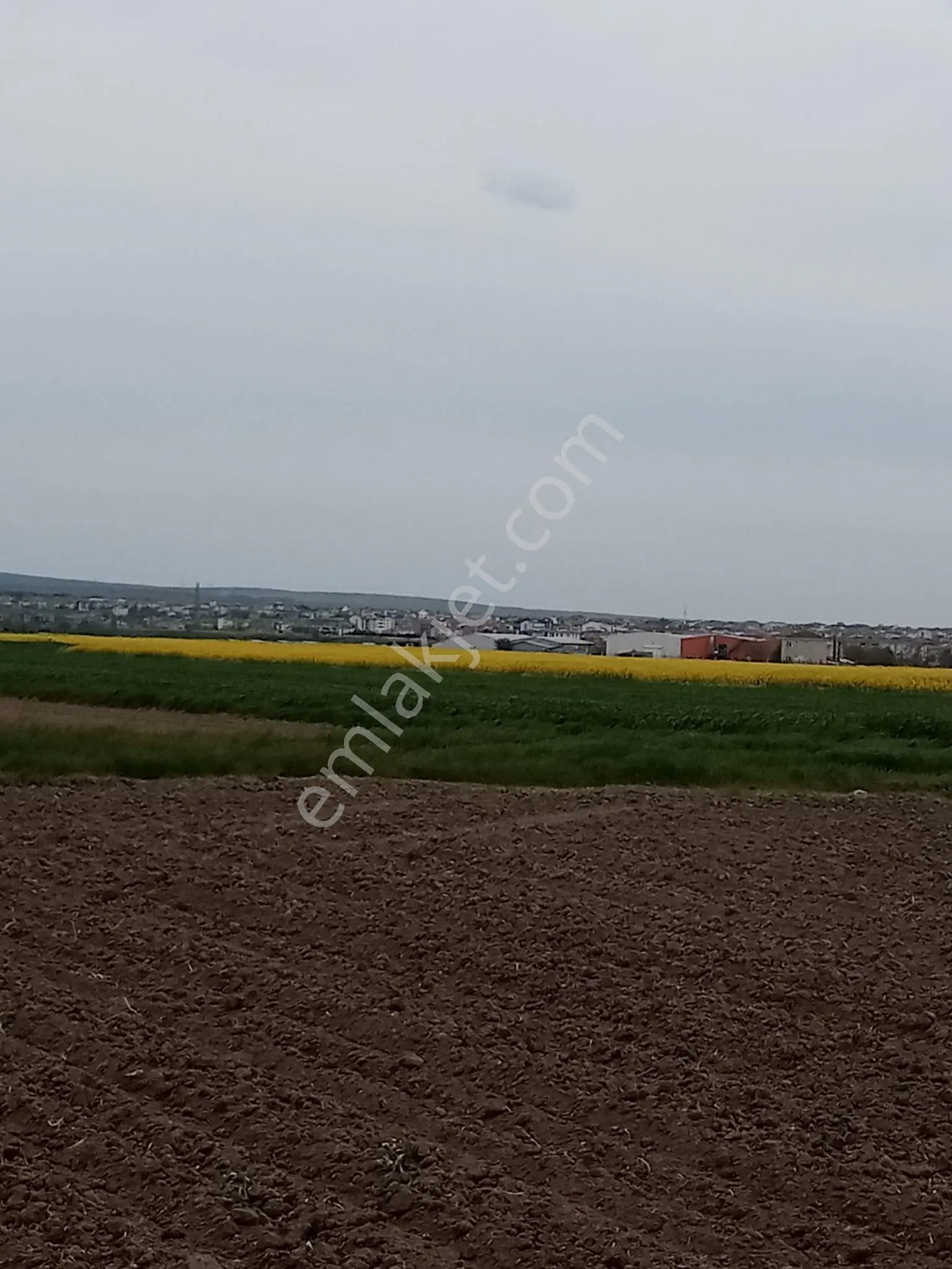 Tekirdağ Saray Çukuryurt'ta 4,640 M2 Emsallerin Çok Altında Fiyat - Görsel 2