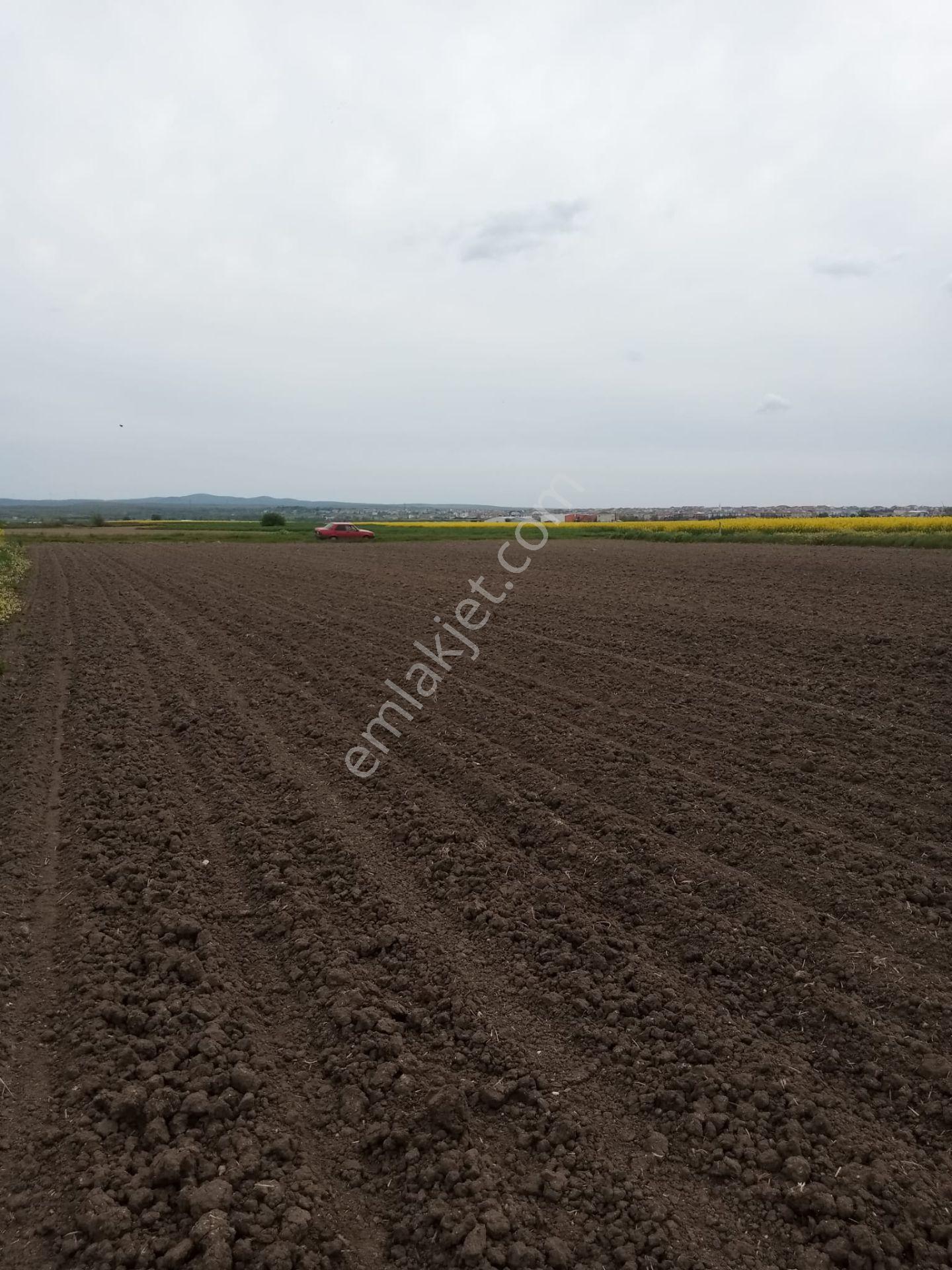 Tekirdağ Saray Çukuryurt'ta 4,640 M2 Emsallerin Çok Altında Fiyat - Görsel 9