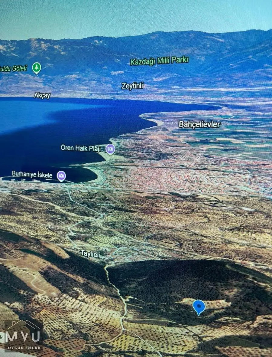 Fırsat Zeytinlik Balıkesir Burhaniye Taylıeli Mahallesi 1.311 M2 - Görsel 4