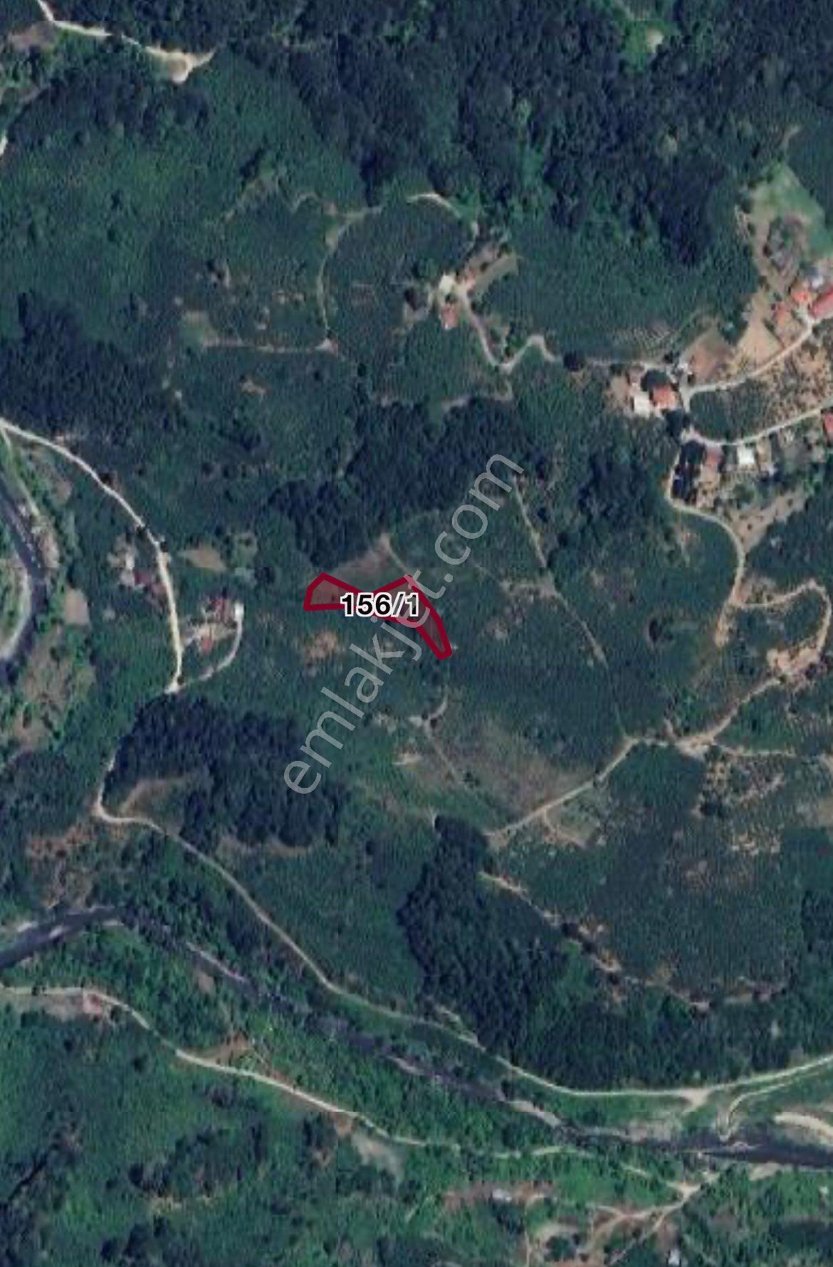 Satılık Fındıklık