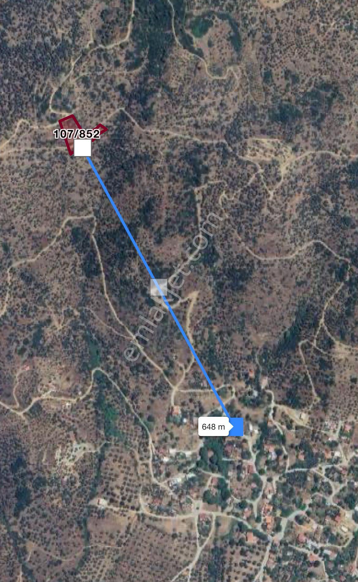 Bayındır Yeşilova Çift Yola Cepheli Fırsat Satılık Zeytinlik - Görsel 22