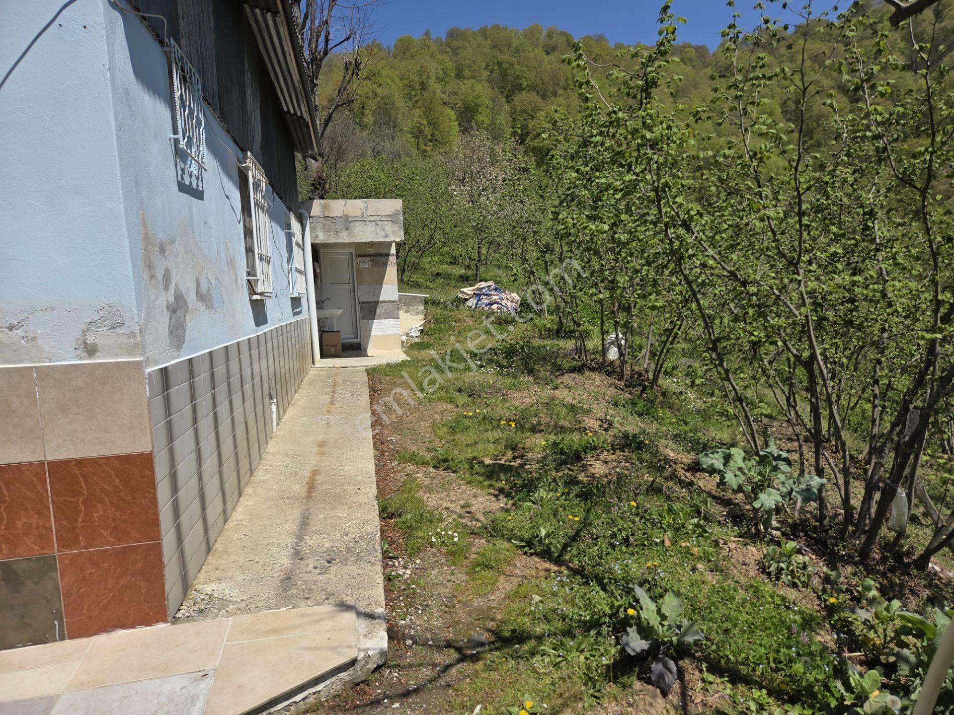 Satılık 21 Dönüm Arazi + 2 Katlı Köy Evi + 200m² Ahır | Fındık Bahçeli | - Görsel 9