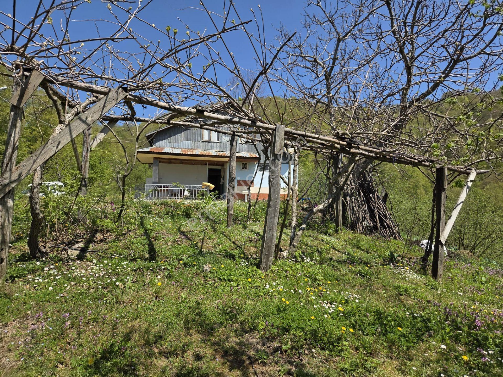Satılık 21 Dönüm Arazi + 2 Katlı Köy Evi + 200m² Ahır | Fındık Bahçeli | - Görsel 8
