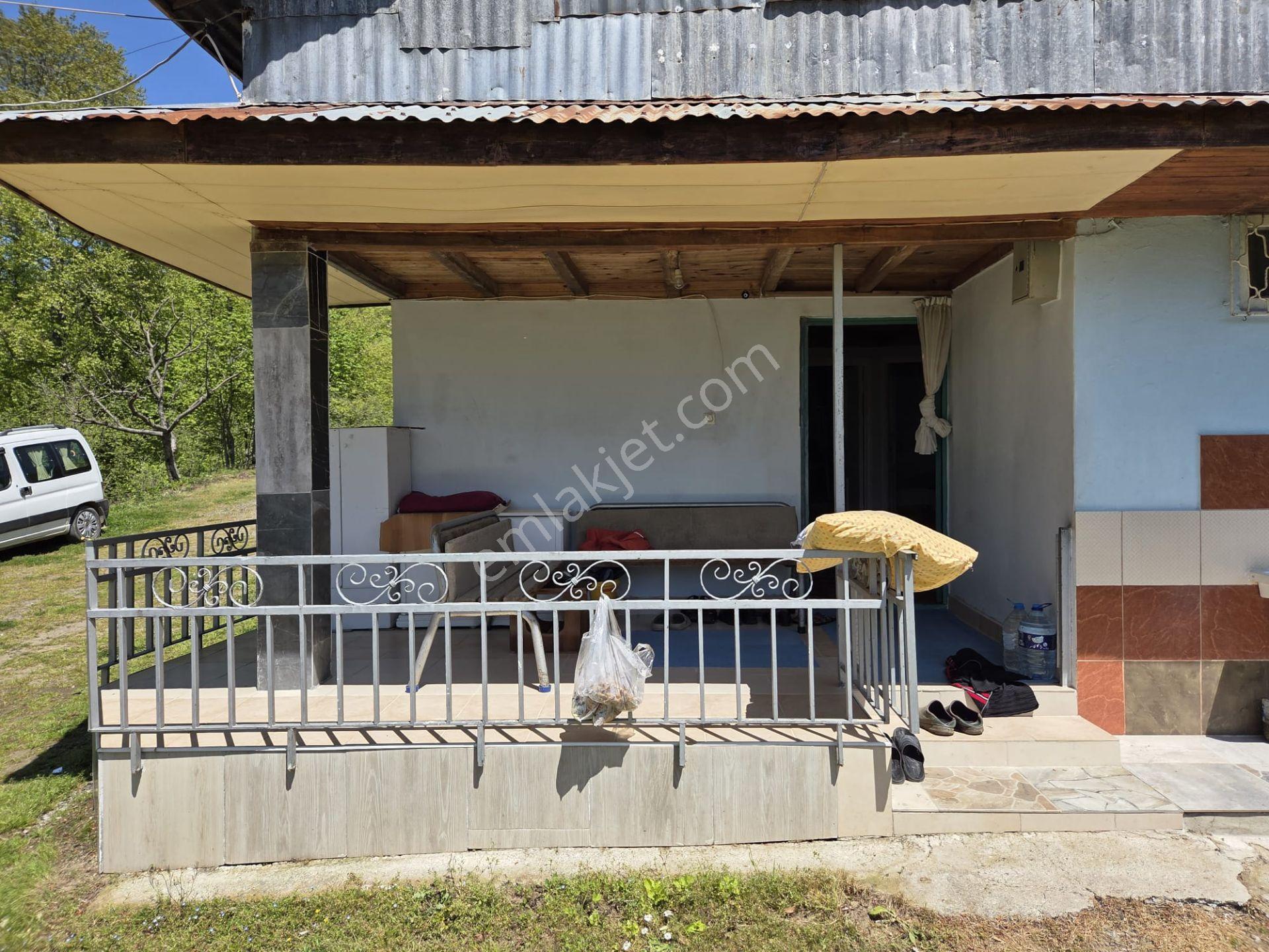 Satılık 21 Dönüm Arazi + 2 Katlı Köy Evi + 200m² Ahır | Fındık Bahçeli | - Görsel 13