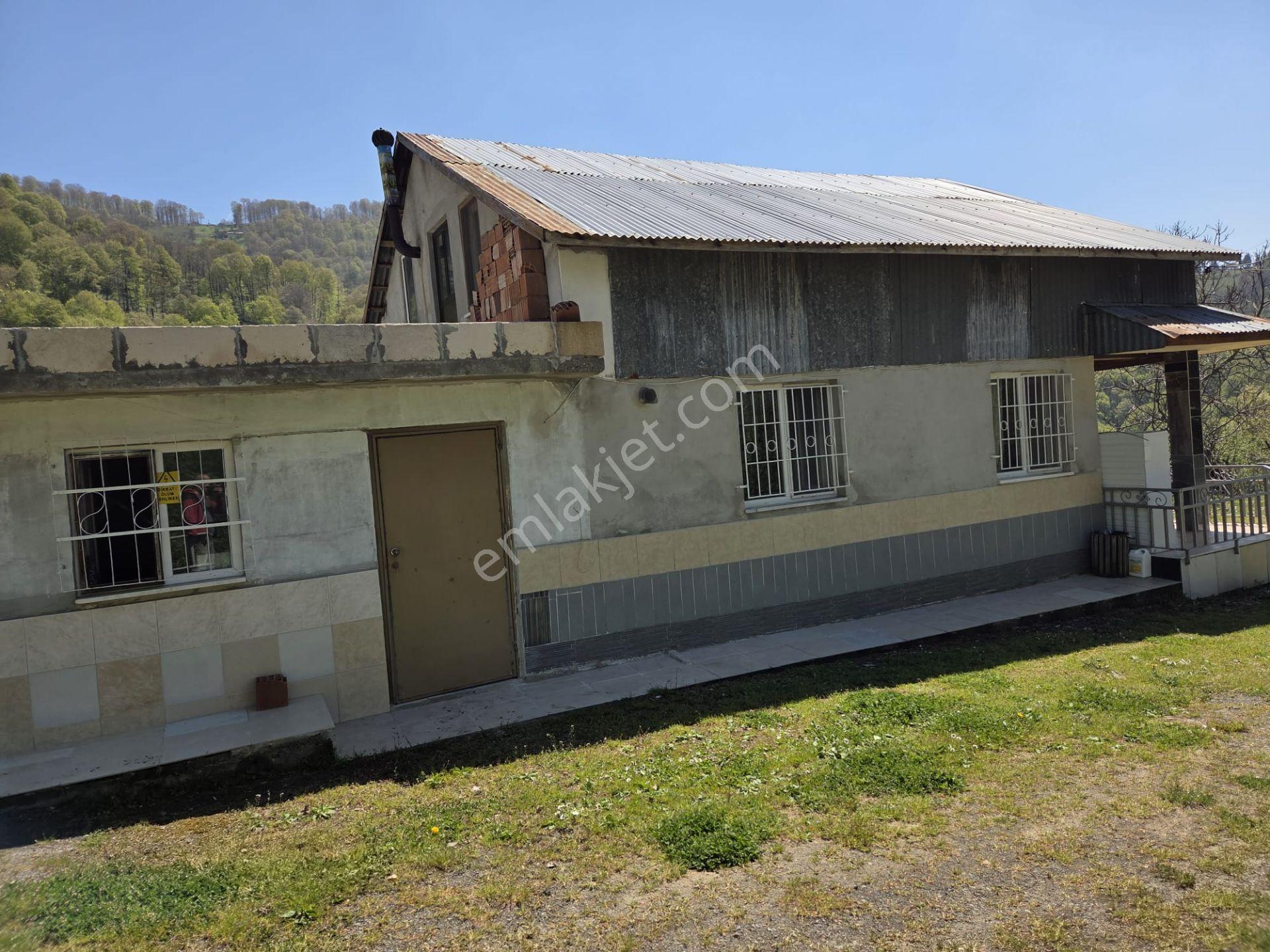 Satılık 21 Dönüm Arazi + 2 Katlı Köy Evi + 200m² Ahır | Fındık Bahçeli | - Görsel 3