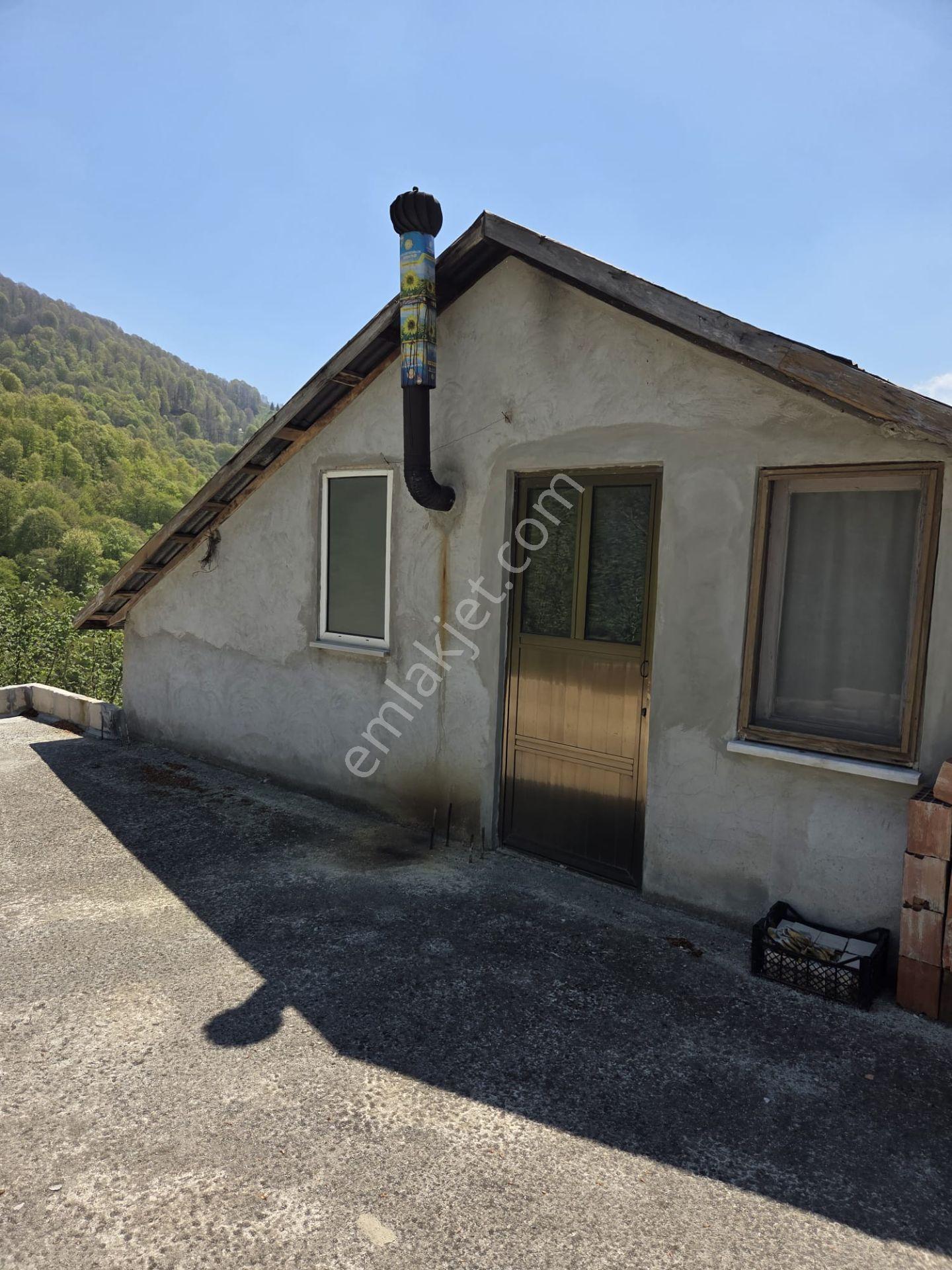 Satılık 21 Dönüm Arazi + 2 Katlı Köy Evi + 200m² Ahır | Fındık Bahçeli | - Görsel 11