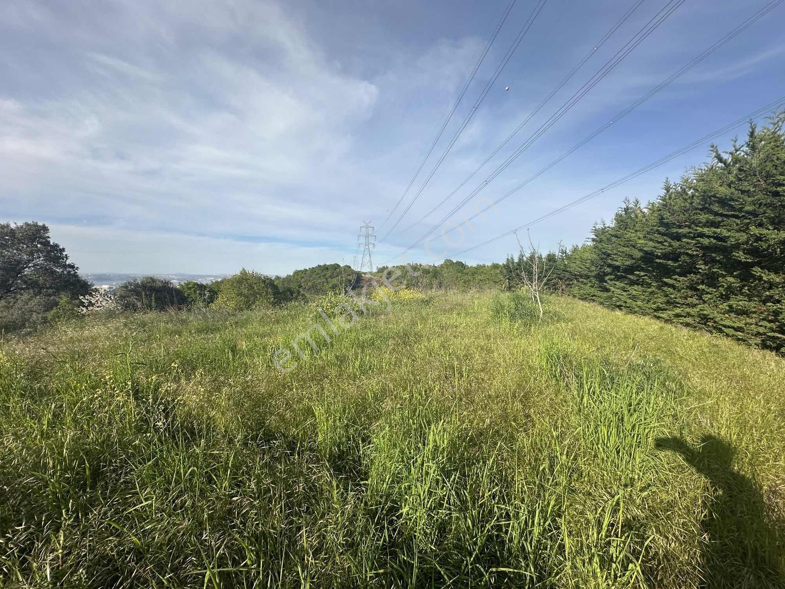 Panoramik Deniz Manzaralı 4326 M² Arazi İçinde Müstakil Ev - Görsel 14