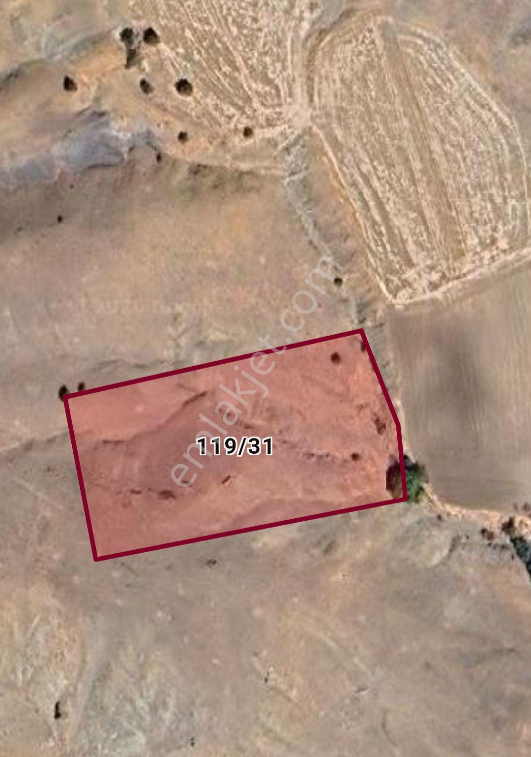 Emlakcı Yusufdan Elazığ Yemişlik Mahallesinde 5399 M2 Satlık Tarla - Görsel 2