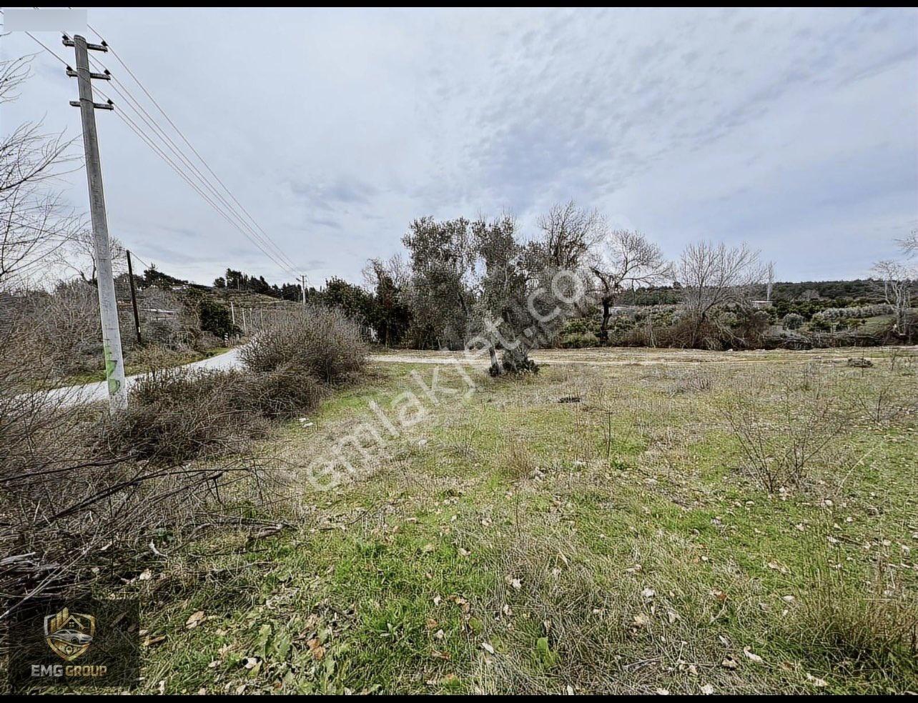 Cevizler Mahallesi Sınırında Haciali Köyünde 1.930m2 Müstakil Tapulu Satılık Yer - Görsel 2
