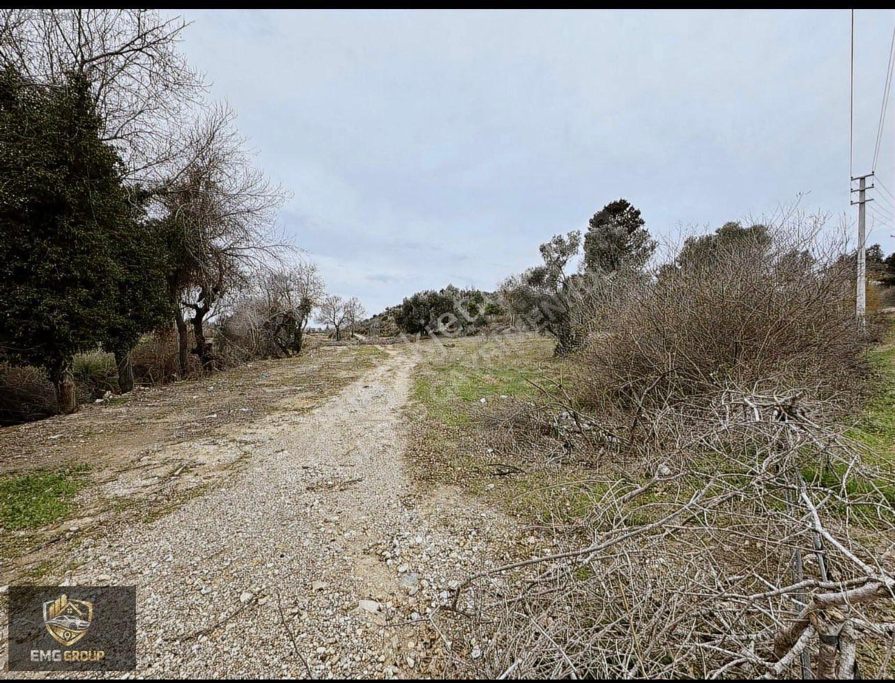 Cevizler Mahallesi Sınırında Haciali Köyünde 1.930m2 Müstakil Tapulu Satılık Yer - Görsel 6