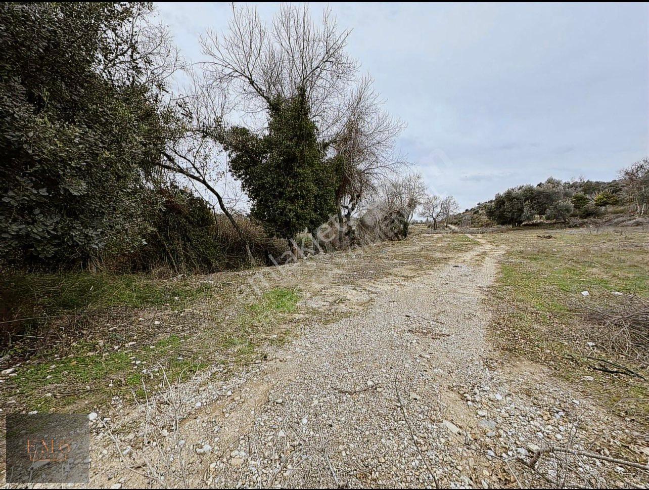 Cevizler Mahallesi Sınırında Haciali Köyünde 1.930m2 Müstakil Tapulu Satılık Yer - Görsel 10