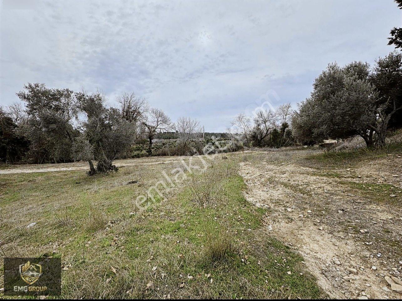 Cevizler Mahallesi Sınırında Haciali Köyünde 1.930m2 Müstakil Tapulu Satılık Yer - Görsel 20