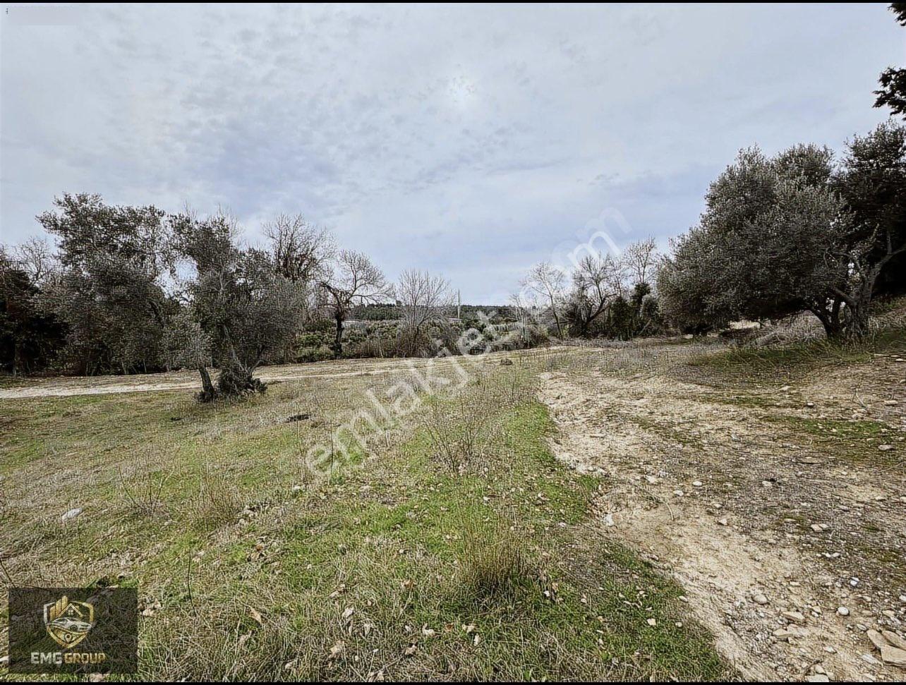 Cevizler Mahallesi Sınırında Haciali Köyünde 1.930m2 Müstakil Tapulu Satılık Yer - Görsel 13