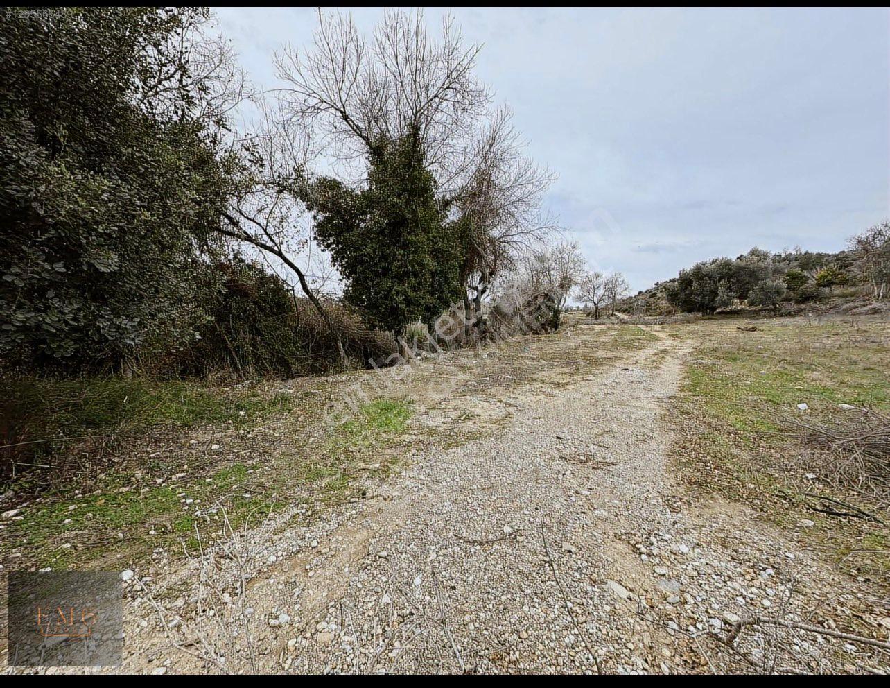 Cevizler Mahallesi Sınırında Haciali Köyünde 1.930m2 Müstakil Tapulu Satılık Yer - Görsel 3