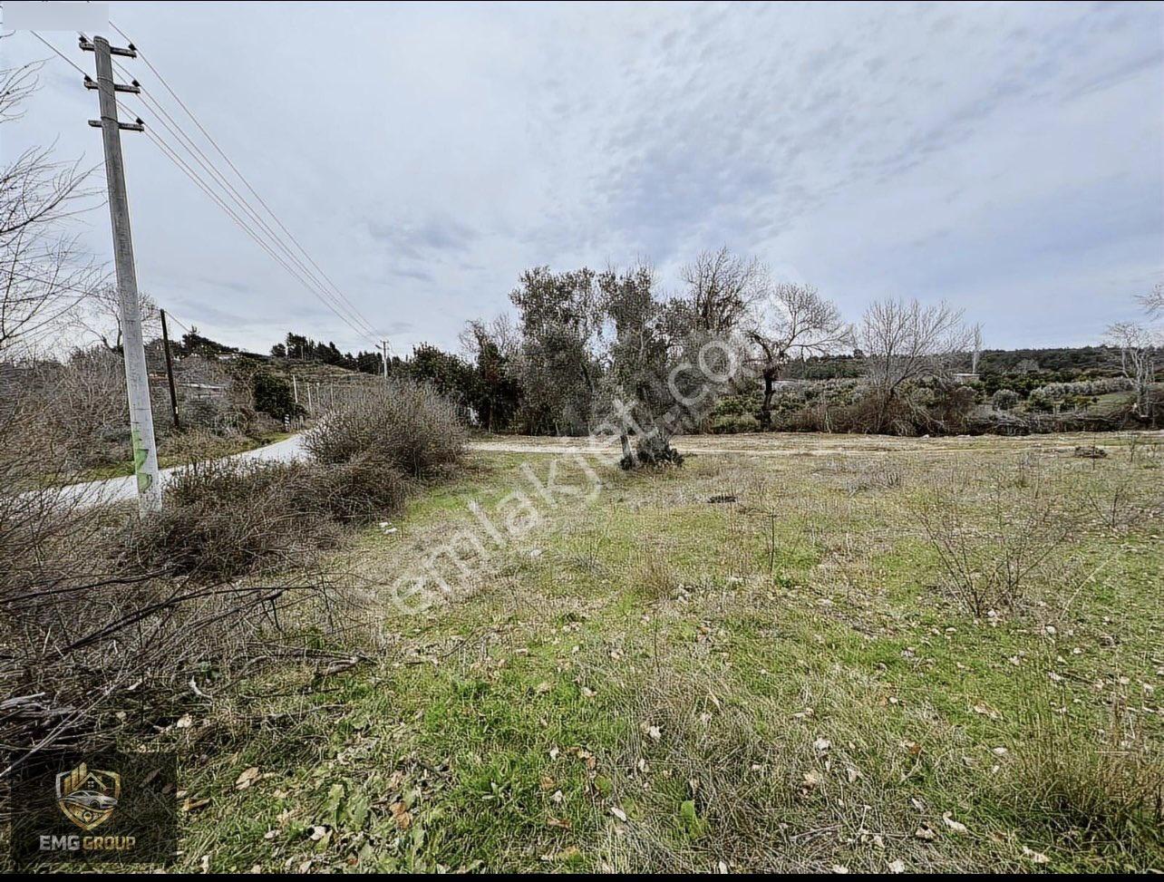 Cevizler Mahallesi Sınırında Haciali Köyünde 1.930m2 Müstakil Tapulu Satılık Yer - Görsel 16