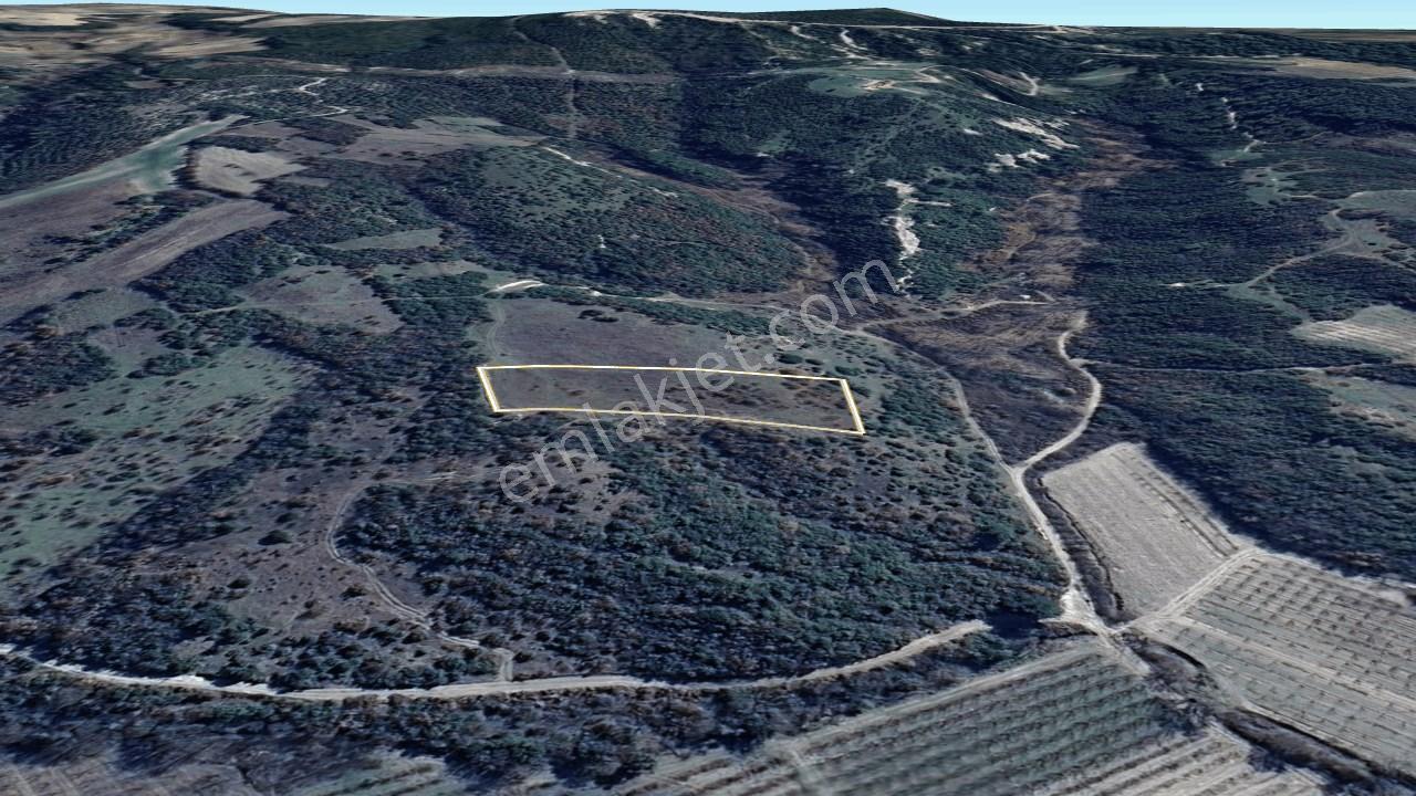 Çanakkale Lapseki Çardak Köyü Satılık Tarla 4554 M² - Görsel 10