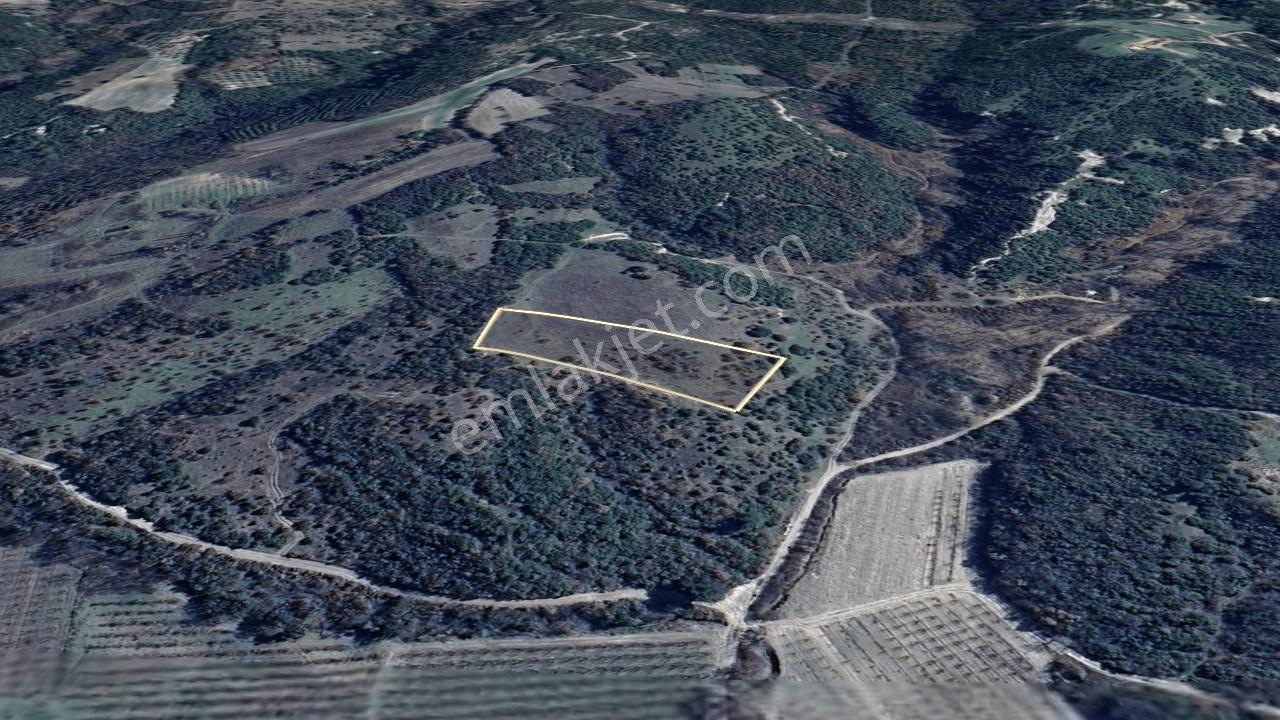 Çanakkale Lapseki Çardak Köyü Satılık Tarla 4554 M² - Görsel 18