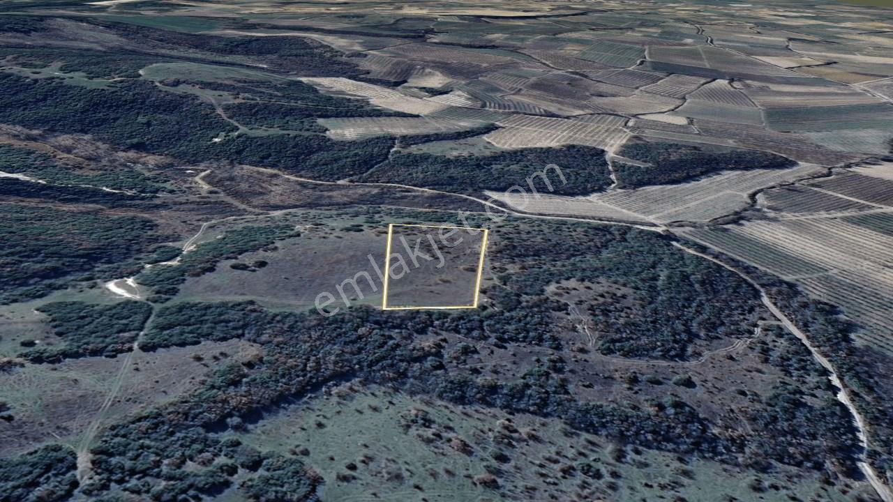 Çanakkale Lapseki Çardak Köyü Satılık Tarla 4554 M² - Görsel 27