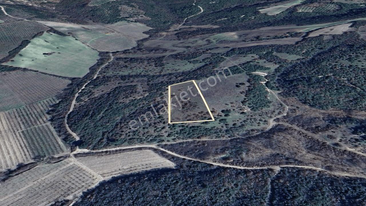 Çanakkale Lapseki Çardak Köyü Satılık Tarla 4554 M² - Görsel 29