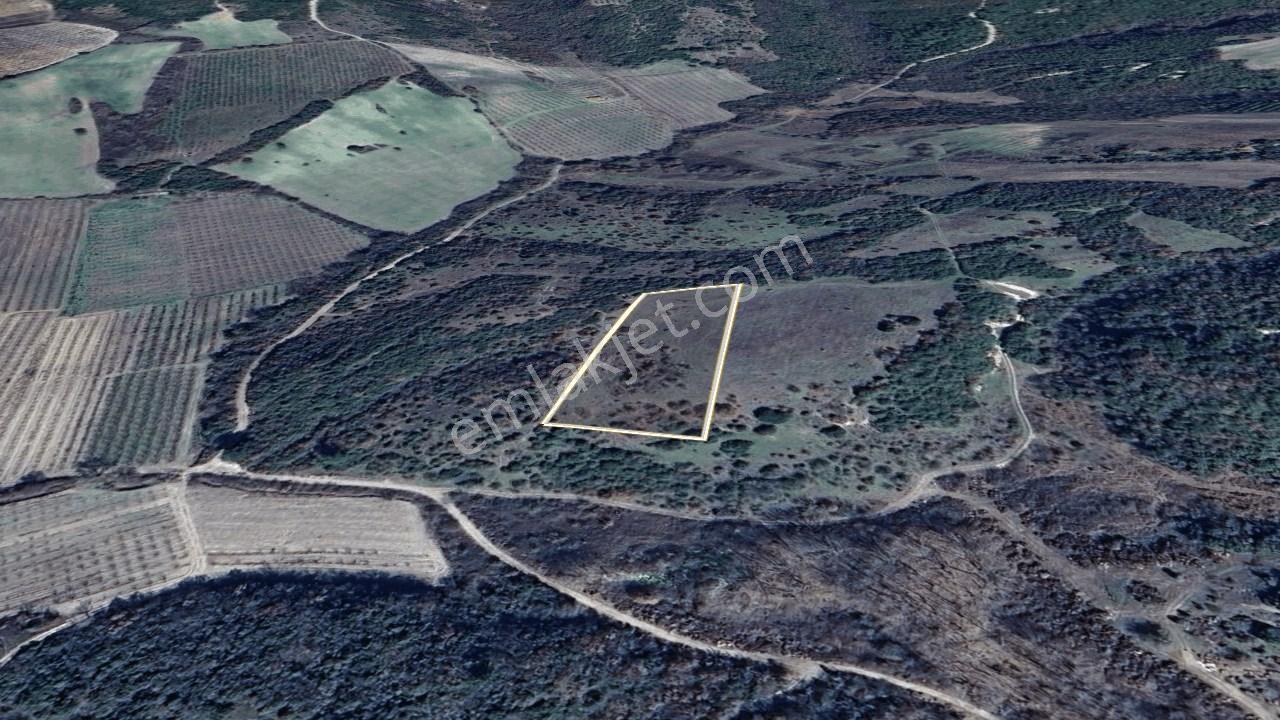 Çanakkale Lapseki Çardak Köyü Satılık Tarla 4554 M² - Görsel 21
