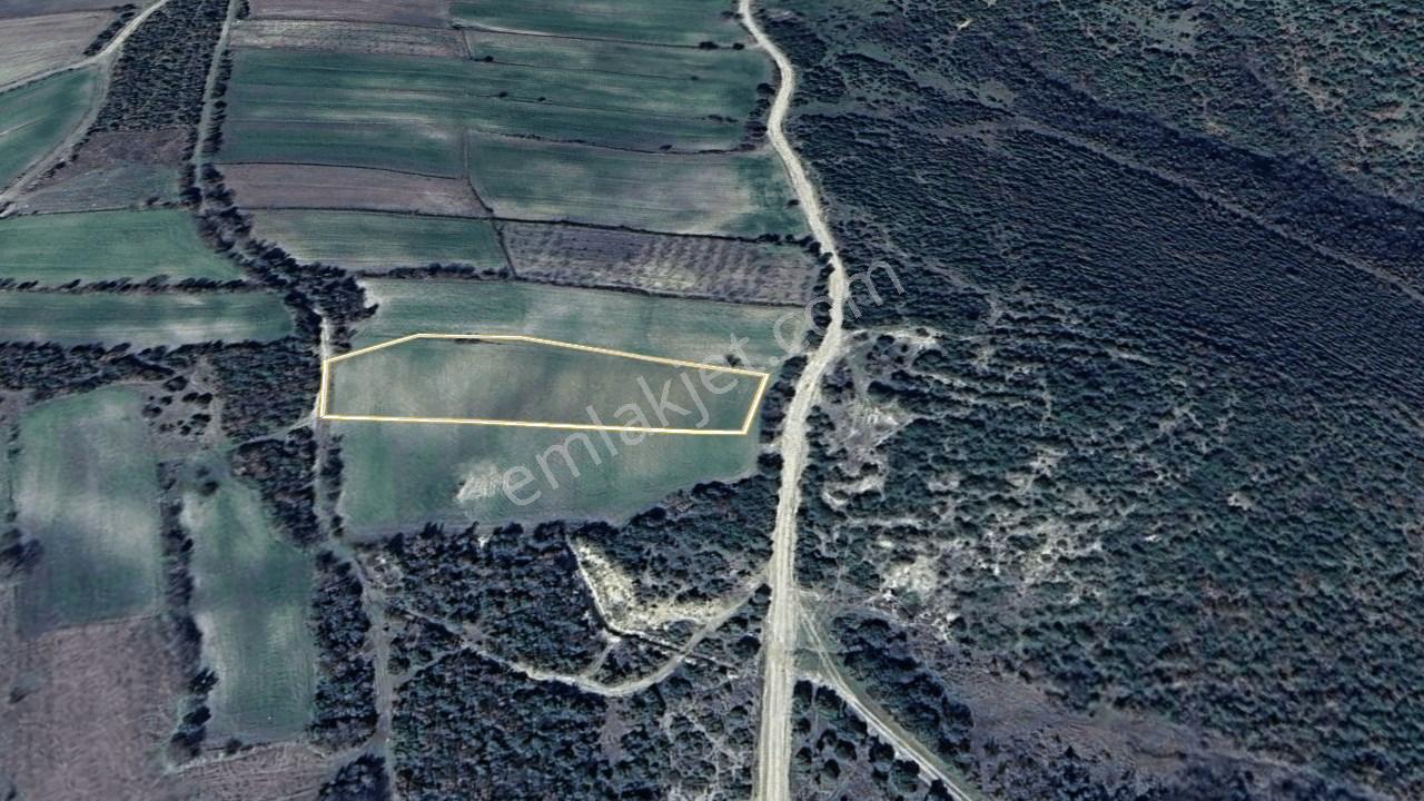 Çanakkale Lapseki Mecidiye Köyünde 4053 M² Satılık Tarla - Görsel 7