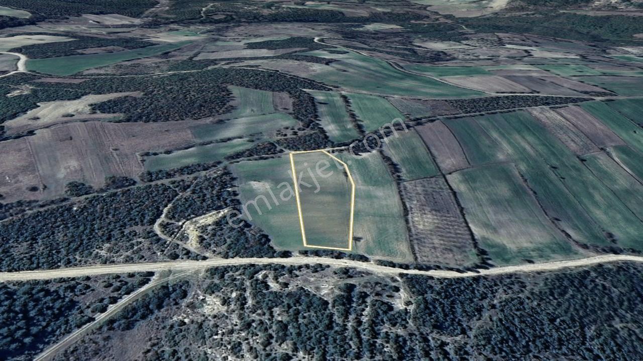 Çanakkale Lapseki Mecidiye Köyünde 4053 M² Satılık Tarla - Görsel 20