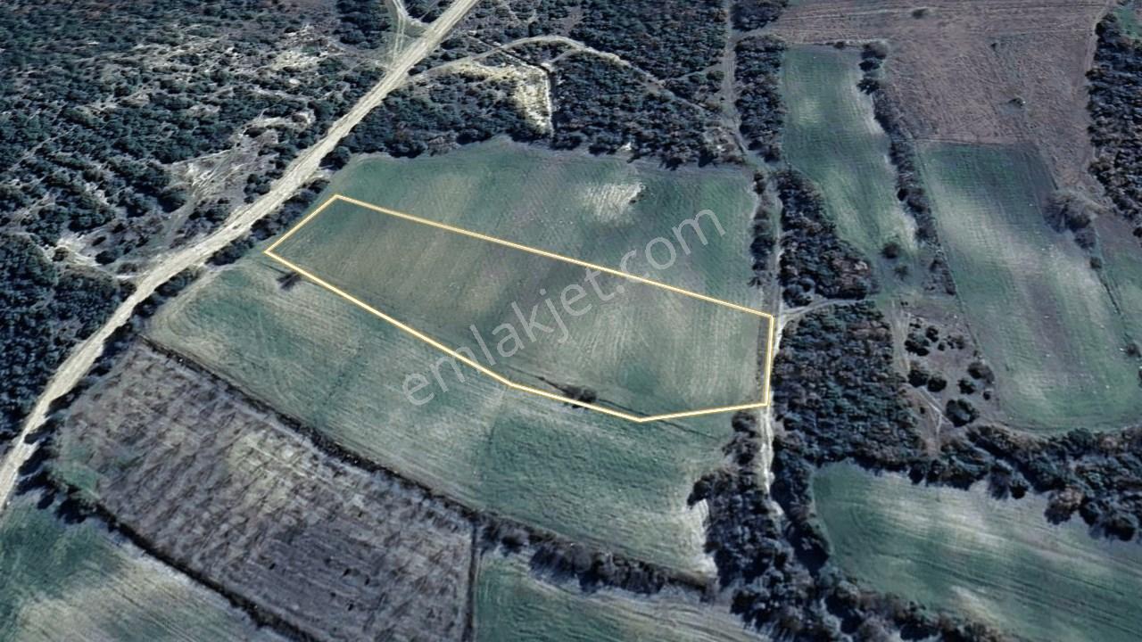 Çanakkale Lapseki Mecidiye Köyünde 4053 M² Satılık Tarla - Görsel 5