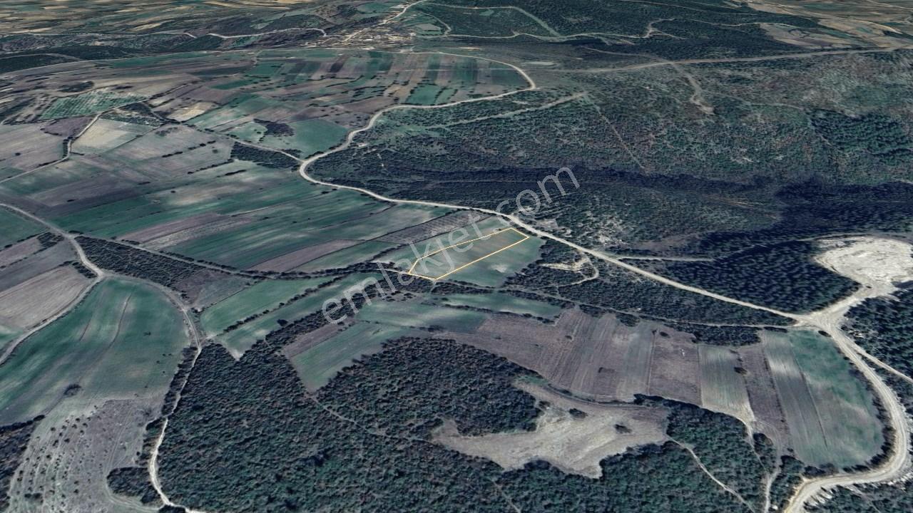 Çanakkale Lapseki Mecidiye Köyünde 4053 M² Satılık Tarla - Görsel 3