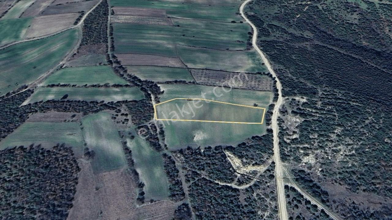 Çanakkale Lapseki Mecidiye Köyünde 4053 M² Satılık Tarla - Görsel 34