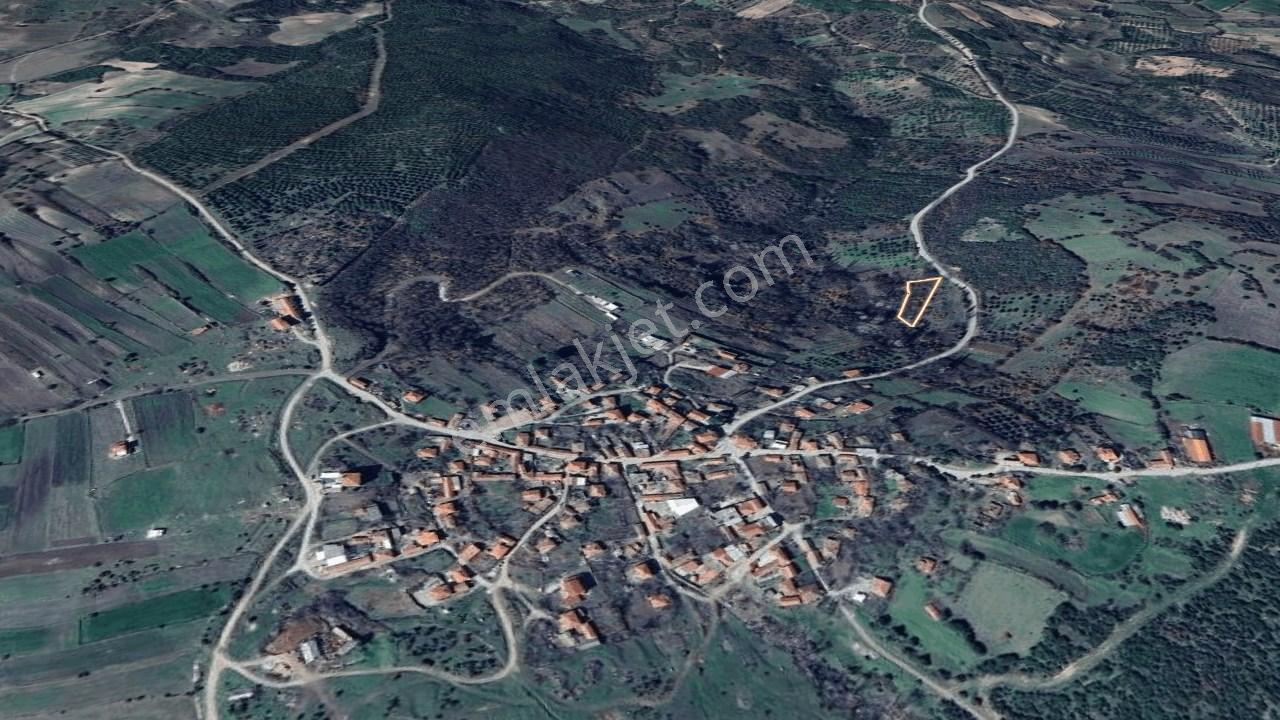Çanakkale Lapseki Mecidiye Köyünde 1473 M² Satılık Tarla - Görsel 9