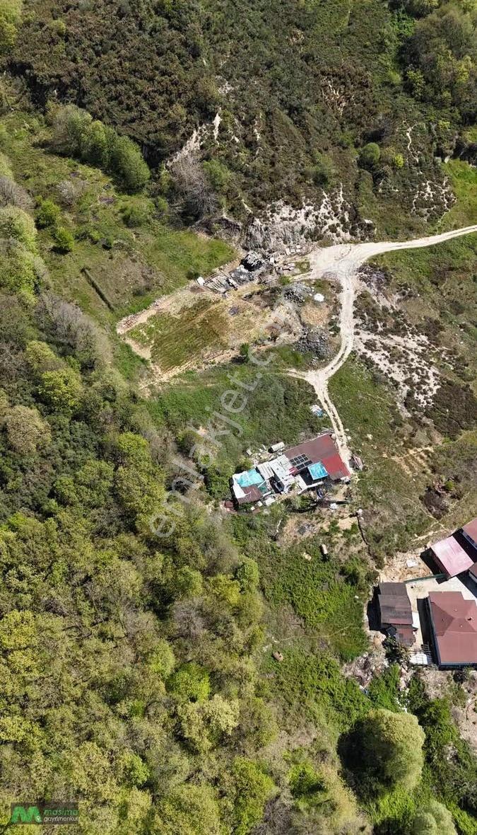 Beykoz Yavuzselim Villa Aksında Orman Sınırı Satılık 933 M2 - Görsel 6
