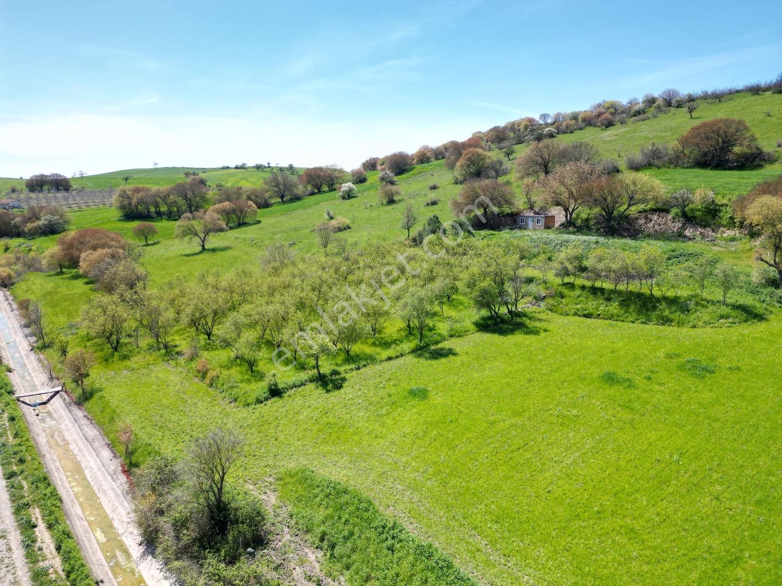 Kepsut Camiatik Mah Sulama Kanalı Yanı Satılık 3.825 M² Bademlik - Görsel 14