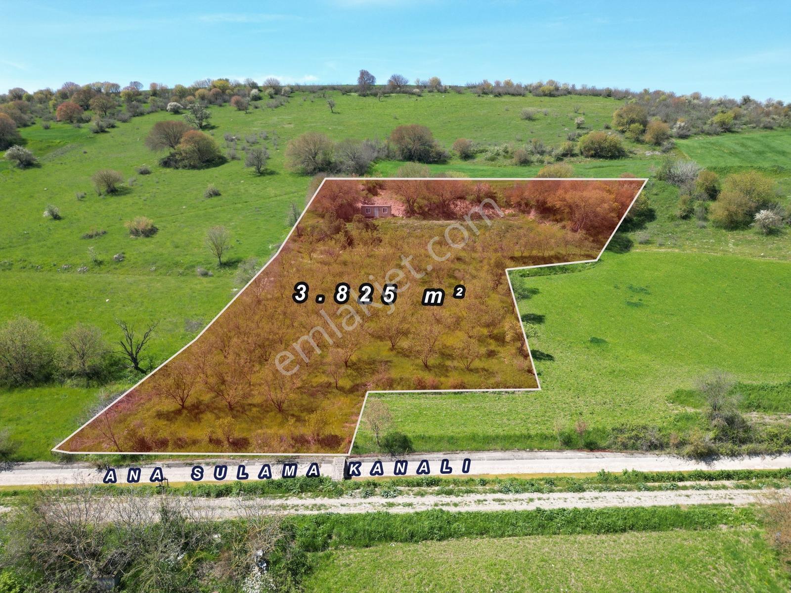 Kepsut Camiatik Mah Sulama Kanalı Yanı Satılık 3.825 M² Bademlik - Görsel 16