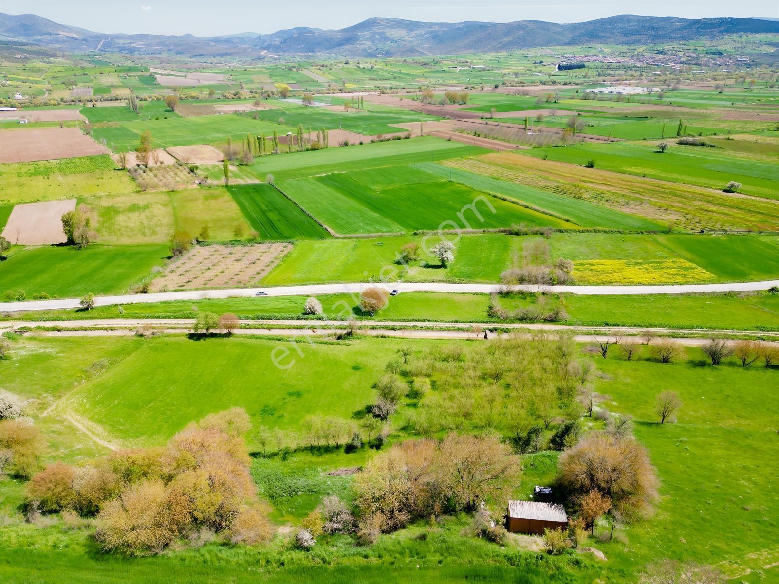 Kepsut Camiatik Mah Sulama Kanalı Yanı Satılık 3.825 M² Bademlik - Görsel 8