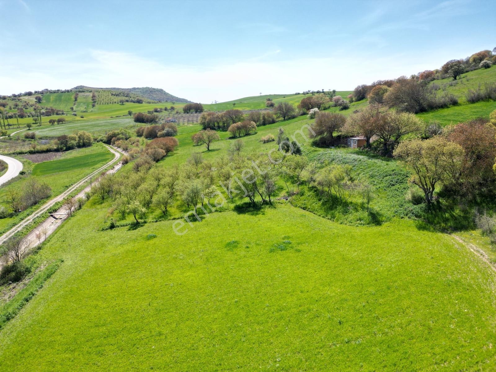 Kepsut Camiatik Mah Sulama Kanalı Yanı Satılık 3.825 M² Bademlik - Görsel 15