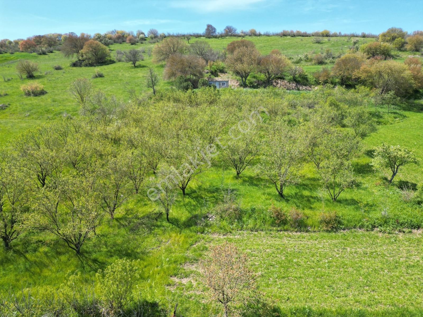 Kepsut Camiatik Mah Sulama Kanalı Yanı Satılık 3.825 M² Bademlik