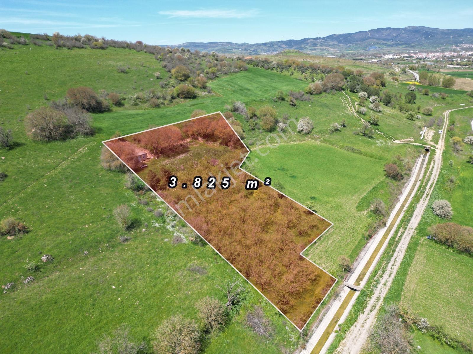 Kepsut Camiatik Mah Sulama Kanalı Yanı Satılık 3.825 M² Bademlik - Görsel 5