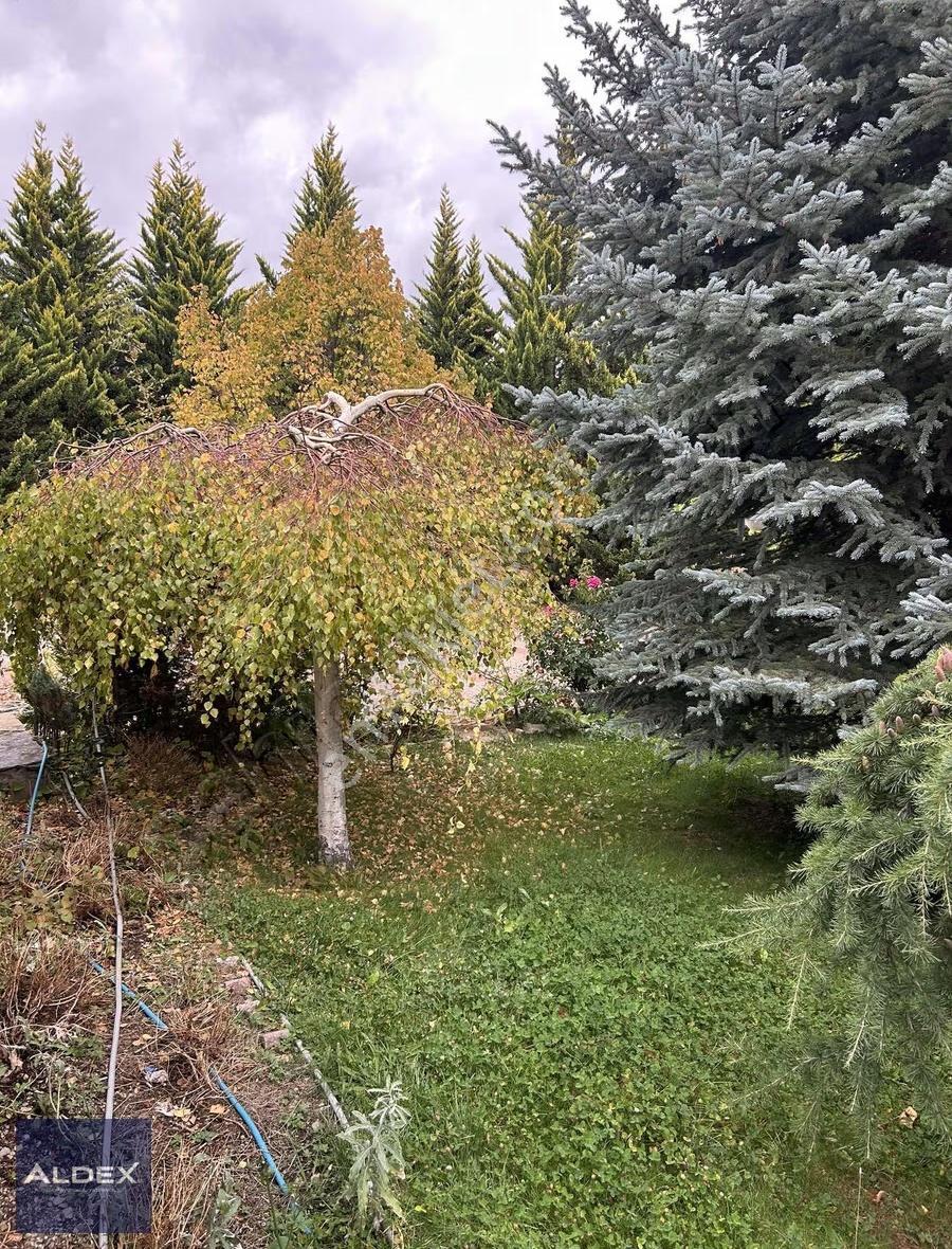 Gölbaşı Kızılcaşar Da 1500 +1501 M2 Süper Konumda Villa Arsası - Görsel 5