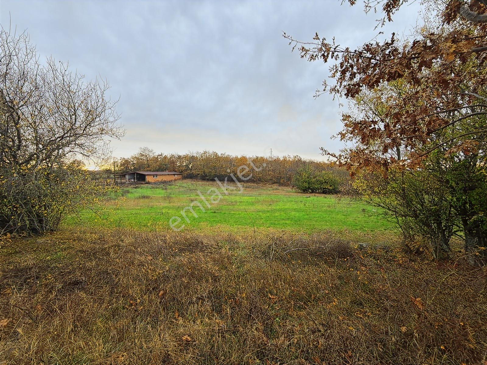Nokta Emlaktan Kapaklı Köyünde 2.200 M² Villa İmarlı Yatırımlık - Görsel 2