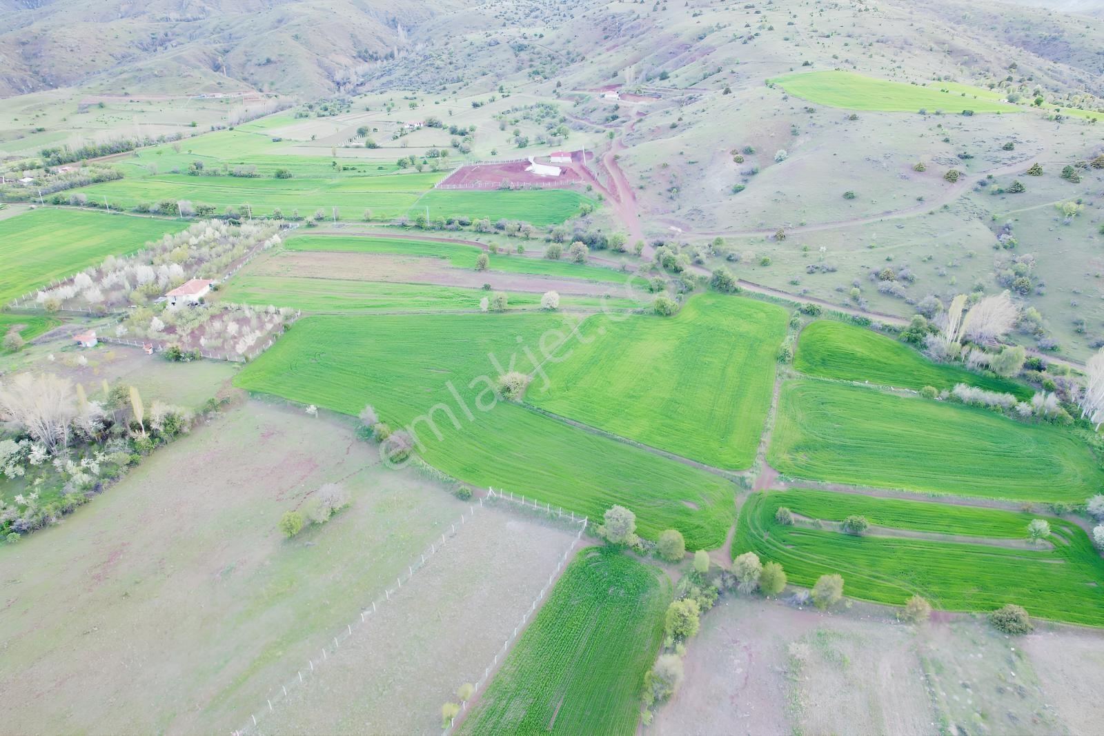 Ekin Group'tan Sarayda Yola Sıfır Elektrik Su Yol Satılık Tarla - Görsel 2