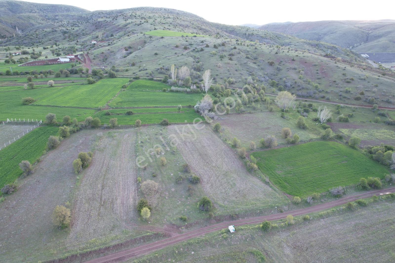 Ekin Group'tan Sarayda Yola Sıfır Elektrik Su Yol Satılık Tarla - Görsel 20