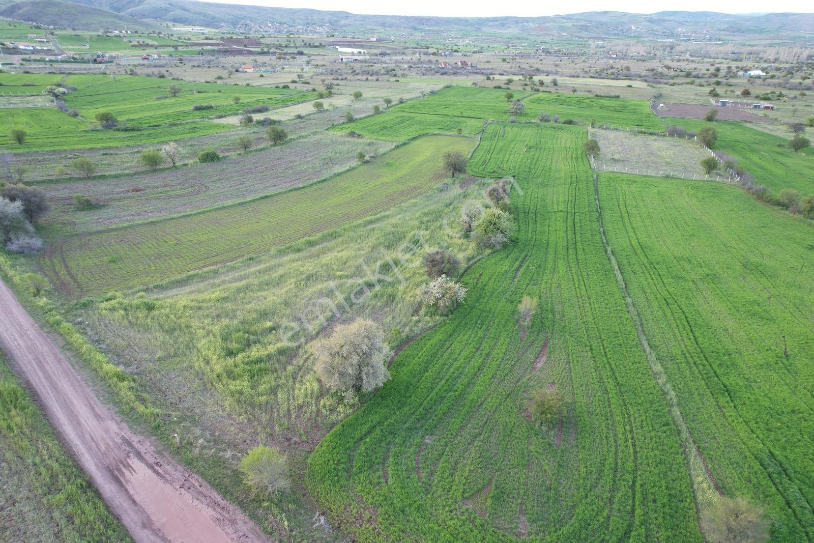 Ekin Group'tan Sarayda Yola Sıfır Elektrik Su Yol Satılık Tarla - Görsel 15