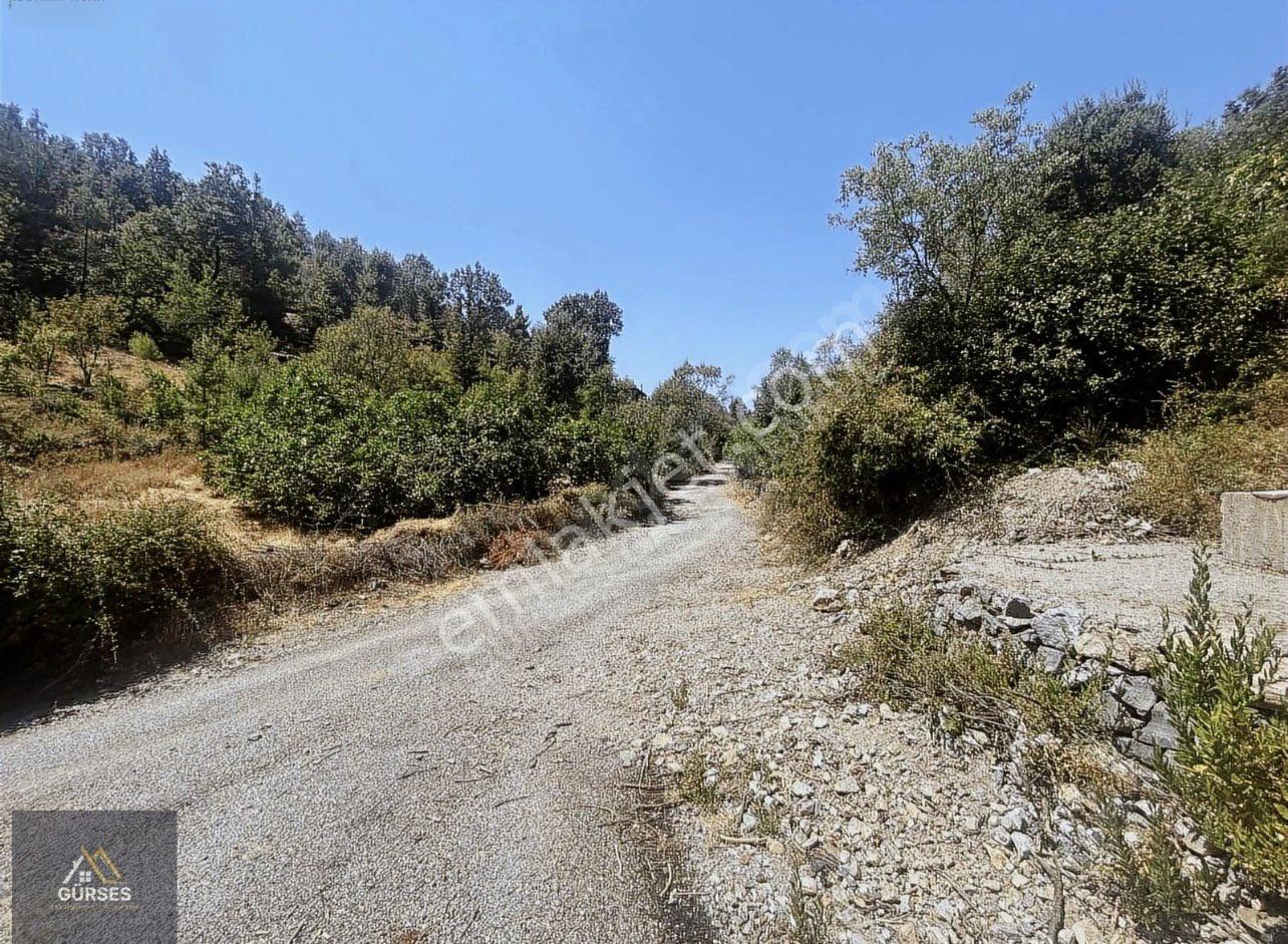 Alanya Güzelbağ Mahallesinde Olan Tarlamız 1.193 M2 Elektrik Su Yol Sorunu Yoktur - Görsel 8