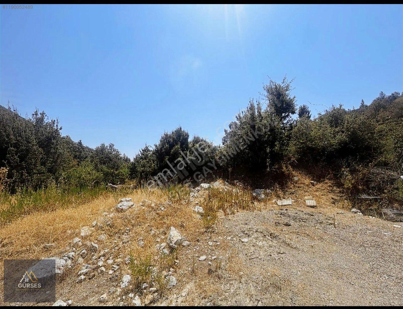 Alanya Güzelbağ Mahallesinde Olan Tarlamız 1.193 M2 Elektrik Su Yol Sorunu Yoktur - Görsel 4