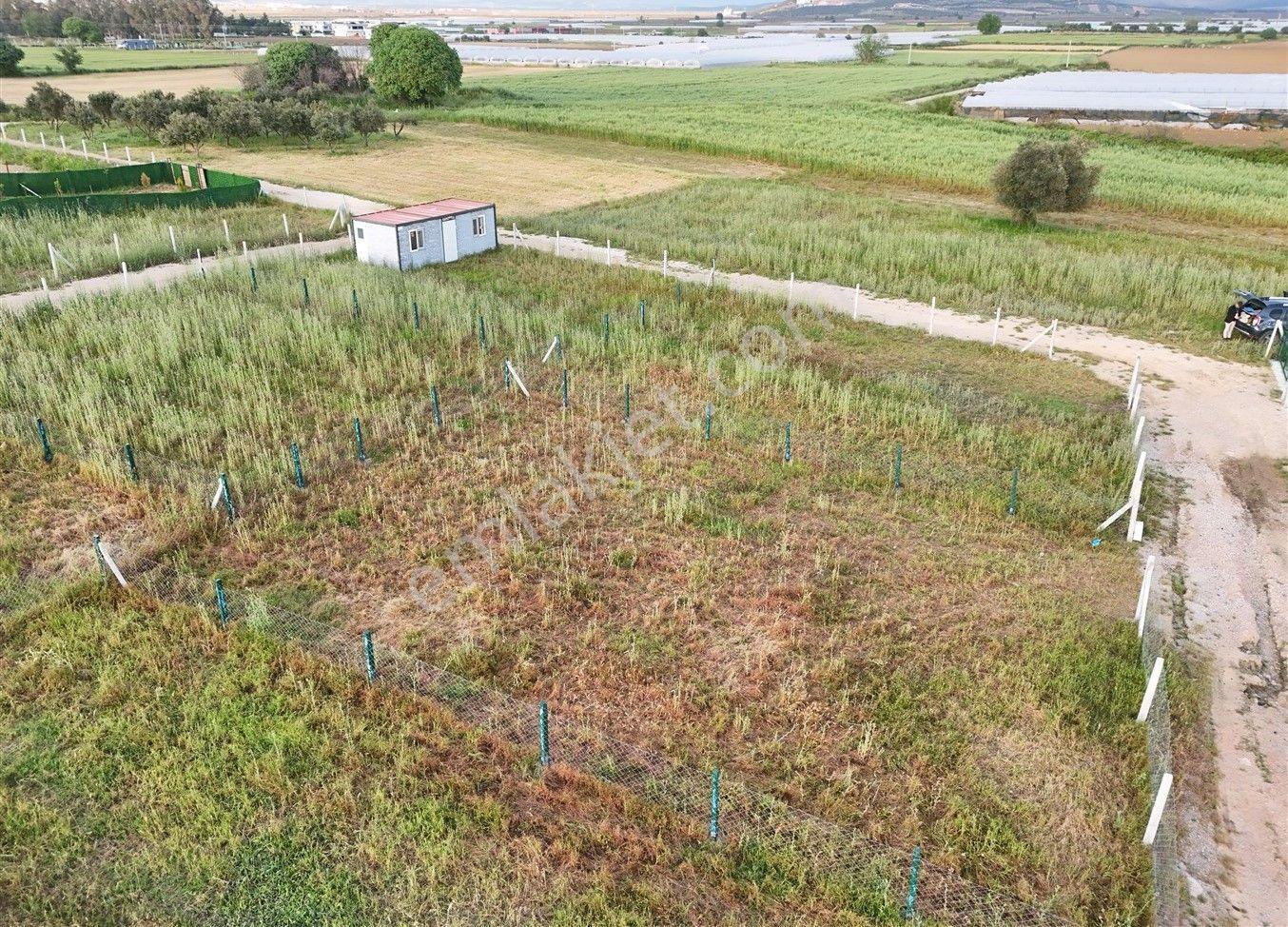 Menderes Turyap'tan Çileme'de 286 M² Hisse Tapulu Bahçe - Görsel 4