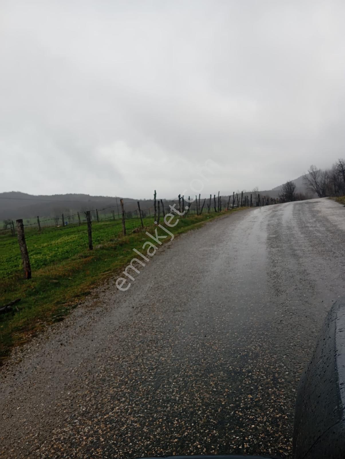 Merkez Kırışoğlu Köyünde 4866 M2 Satılık Tarla - Görsel 12