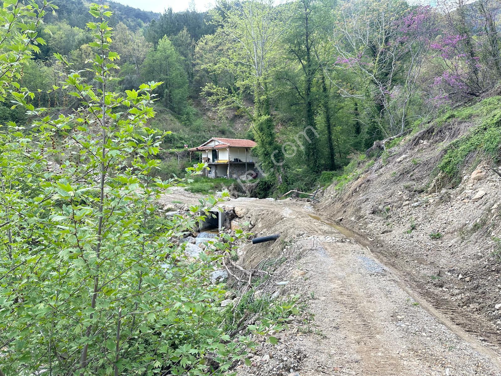 Alanya Uğurlu Köyünde Satılık 500m2 Ev Yapımına Uygun Tarla - Görsel 3