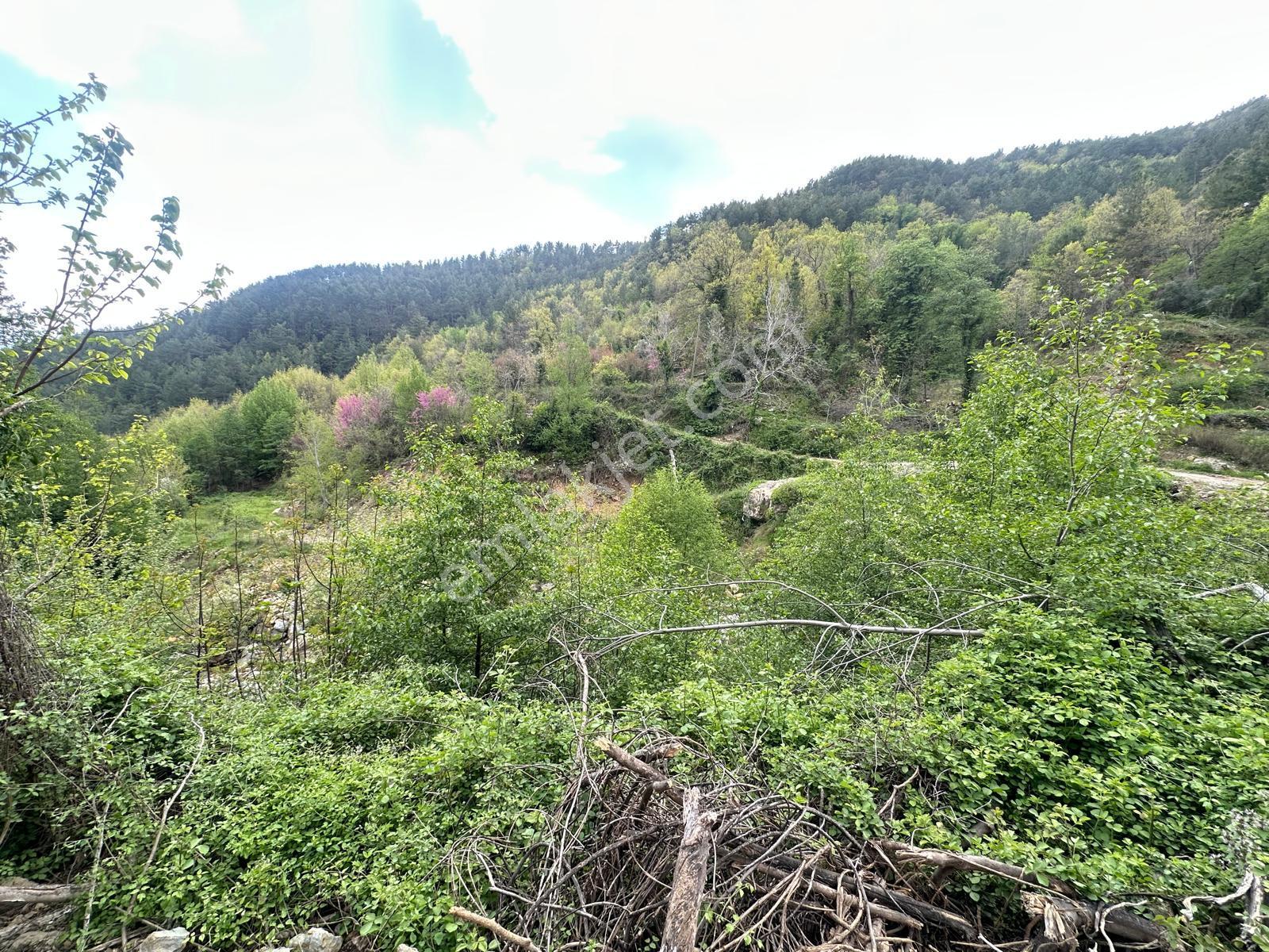 Alanya Uğurlu Köyünde Satılık 500m2 Ev Yapımına Uygun Tarla - Görsel 9