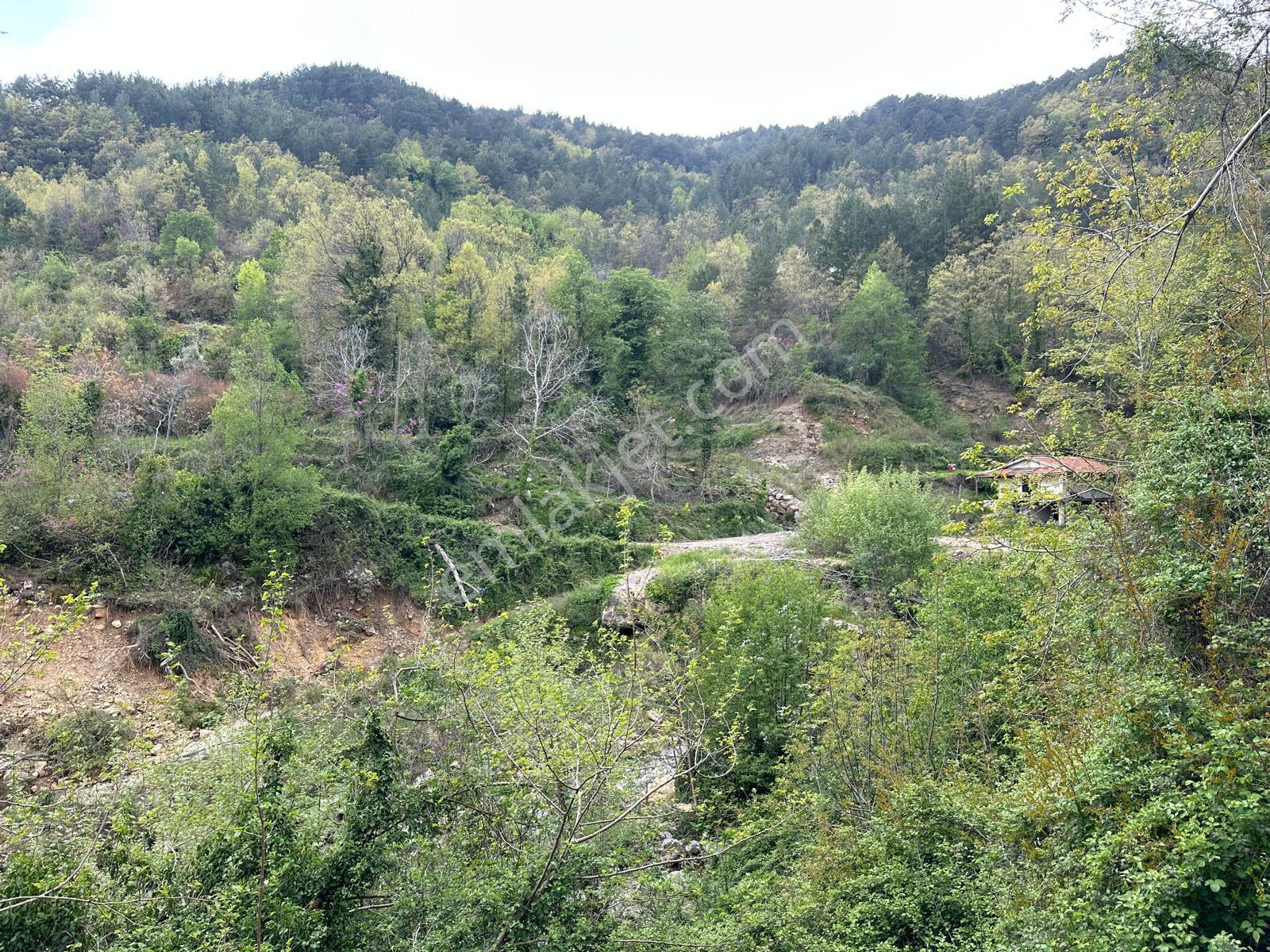 Alanya Uğurlu Köyünde Satılık 500m2 Ev Yapımına Uygun Tarla - Görsel 13