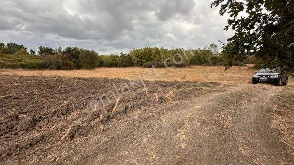 Lir Den Çanakkale Biga Selvi De Müstakil 913 M2 Satılık Tarla - Görsel 7